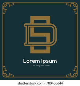 Initial letter DS logotype company name. Vector for company name.