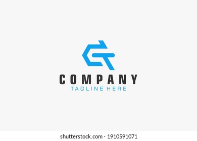 Initial Letter DT Logo.  Geometric Hexagonal Line isolated. Usable for Business, Building and Technology Logos. Flat Vector Logo Design Template Element.