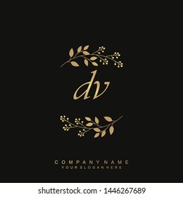 Initial letter DV beautiful handwriting logo vector template