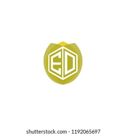 Initial Letter E, D, ED Hexagonal Shape Logo Design with Leaf, Nature, Ecology, Environment Illustration Icon