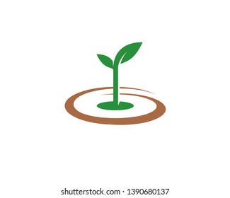 initial letter G, 6, 9 with sprout grow from a swirl soil land 