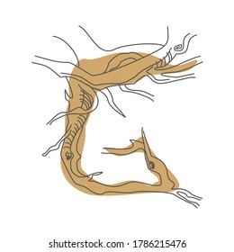Initial letter G. Decorative font from tree roots. Environmental design. Nature typography