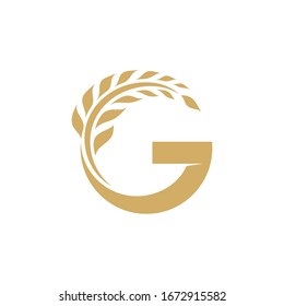 Initial letter G for grain logo, simple wheat food nutrition logo vector