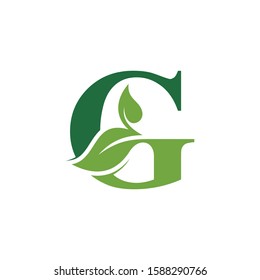 Initial Letter G Leaf Luxury Logo Stock Vector (Royalty Free ...