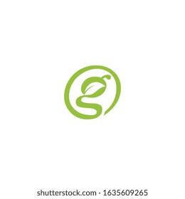 Initial letter G with leaf luxury logo, Green leaf logo template vector design.