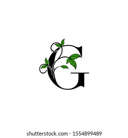 Initial Letter G logo icon.  Design concept Nature green leaves with letter logo icon black color.
