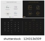 Initial letter gold and silver calligraphy handwritten logo. Handwritten alphabet in the logo template. Letters and Alphabet for your design. Initial handwriting logo circle template vector.