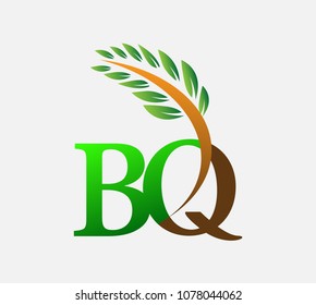 initial letter logo BQ, Agriculture wheat Logo Template vector icon design colored green and brown.