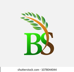 initial letter logo BS, Agriculture wheat Logo Template vector icon design colored green and brown.