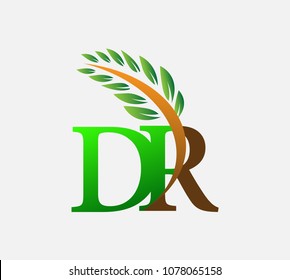 initial letter logo DR, Agriculture wheat Logo Template vector icon design colored green and brown.