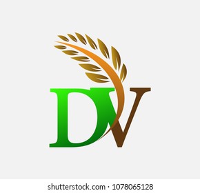 initial letter logo DV, Agriculture wheat Logo Template vector icon design colored green and brown.