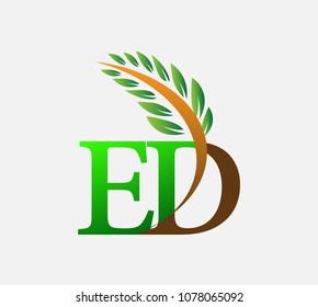 initial letter logo ED, Agriculture wheat Logo Template vector icon design colored green and brown.