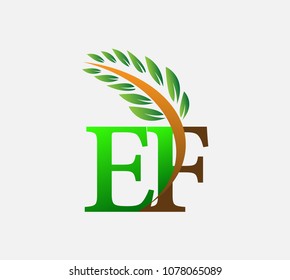initial letter logo EF, Agriculture wheat Logo Template vector icon design colored green and brown.