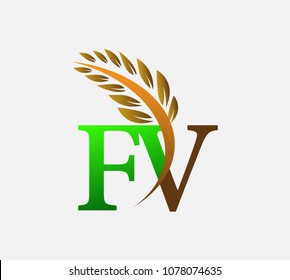 initial letter logo FV, Agriculture wheat Logo Template vector icon design colored green and brown.