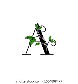 Initial Letter A logo icon.  Design concept Nature green leaves with letter logo icon black color.