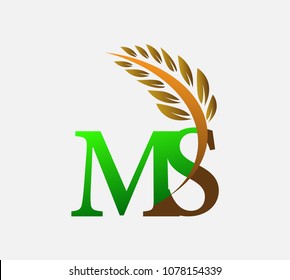 initial letter logo MS, Agriculture wheat Logo Template vector icon design colored green and brown.