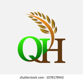 initial letter logo QH, Agriculture wheat Logo Template vector icon design colored green and brown.
