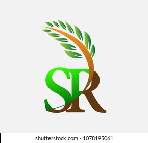 initial letter logo SR, Agriculture wheat Logo Template vector icon design colored green and brown.