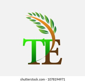 initial letter logo TE, Agriculture wheat Logo Template vector icon design colored green and brown.