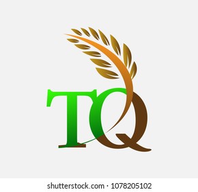 initial letter logo TQ, Agriculture wheat Logo Template vector icon design colored green and brown.