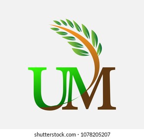 initial letter logo UM, Agriculture wheat Logo Template vector icon design colored green and brown.