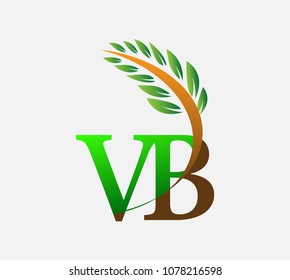 initial letter logo VB, Agriculture wheat Logo Template vector icon design colored green and brown.