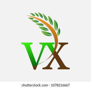 initial letter logo VX, Agriculture wheat Logo Template vector icon design colored green and brown.