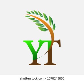initial letter logo YT, Agriculture wheat Logo Template vector icon design colored green and brown.