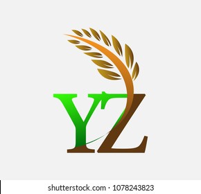 initial letter logo YZ, Agriculture wheat Logo Template vector icon design colored green and brown.