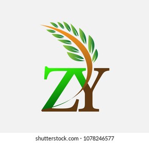 initial letter logo ZY, Agriculture wheat Logo Template vector icon design colored green and brown.