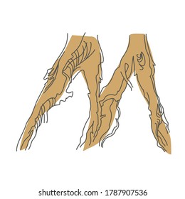 Letra inicial M. Fuente decorativa de raíces de árbol. Diseño ambiental. Tipografía de la naturaleza
