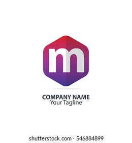 Initial Letter M Hexagon Logo 