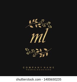 Initial letter ML beautiful handwriting logo vector template