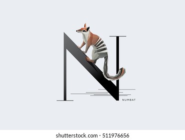 Initial letter N decorated with Australian Numbat anteater in contemporary minimal style