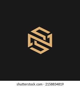 Initial Letter NS Logo Design Vector Template. NS Letter Logo Design
