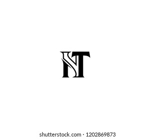 Initial Letter NT Linked Monogram Minimalism Linear Logo