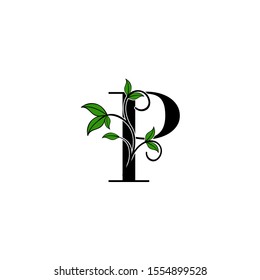 Initial Letter P logo icon.  Design concept Nature green leaves with letter logo icon black color.
