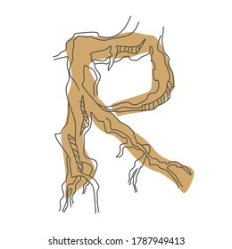 Letra inicial R. Fuente decorativa a partir de raíces de árbol. Diseño ambiental. Tipografía de la naturaleza
