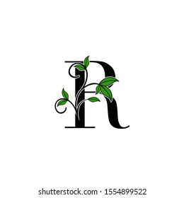 Initial Letter R logo icon.  Design concept Nature green leaves with letter logo icon black color.