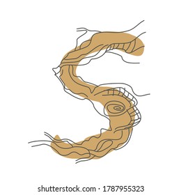 Initial letter S. Decorative font from tree roots. Environmental design. Nature typography