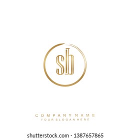 Initial letter SB beautiful handwriting logo vector template