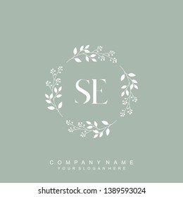 Initial letter SE beautiful handwriting logo vector template