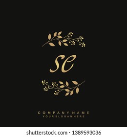 Initial letter SE beautiful handwriting logo vector template