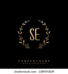 Initial letter SE beautiful handwriting logo vector template