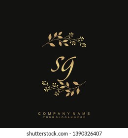 Initial letter SG beautiful handwriting logo vector template