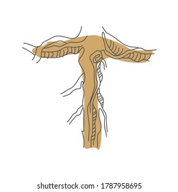 Initial letter T. Decorative font from tree roots. Environmental design. Nature typography