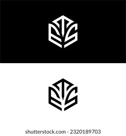 Initial letter TES hexagon logo design, flourish, develop, natural, luxury, simple, finance logo, real estate, suitable for your company.
