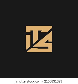 Plantilla del vector de diseño del logotipo TS de la carta inicial. Diseño de logotipo de carta TS
