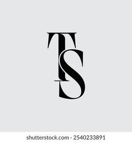 Initial letter TS logo design