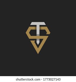 Initial Letter TS or ST  Logo Template Design Vector
